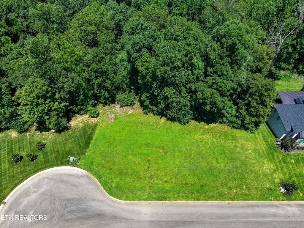 Photo of 3336 Preserve Pointe, Louisville, TN 37777 (MLS # 1257849)