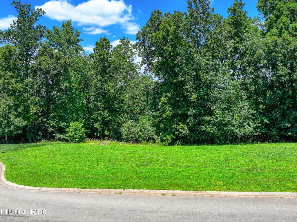 Photo of 3336 Preserve Pointe, Louisville, TN 37777 (MLS # 1257849)