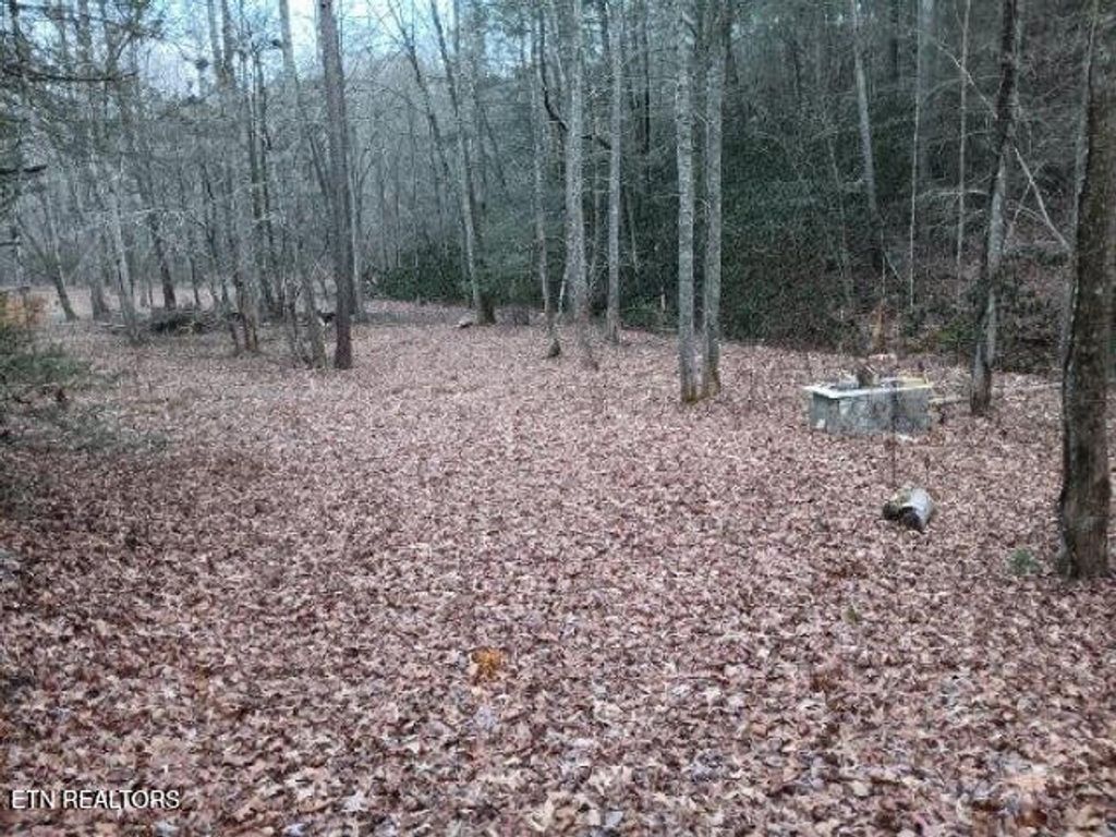 Photo of 332 Roberts Lane, Tellico Plains, TN 37385 (MLS # 1286599)