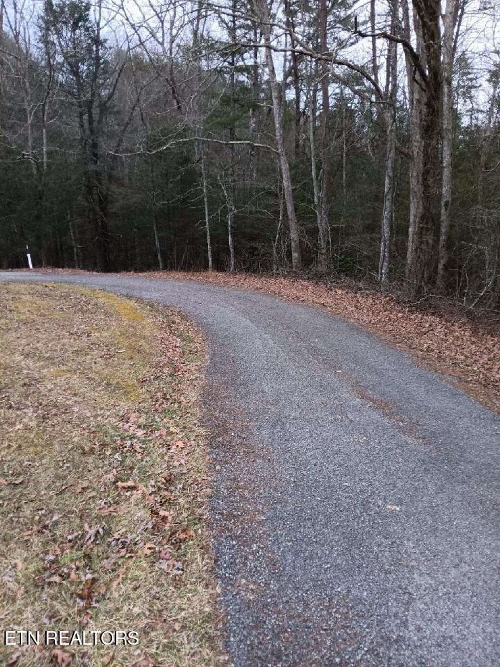 Photo of 332 Roberts Lane, Tellico Plains, TN 37385 (MLS # 1286599)