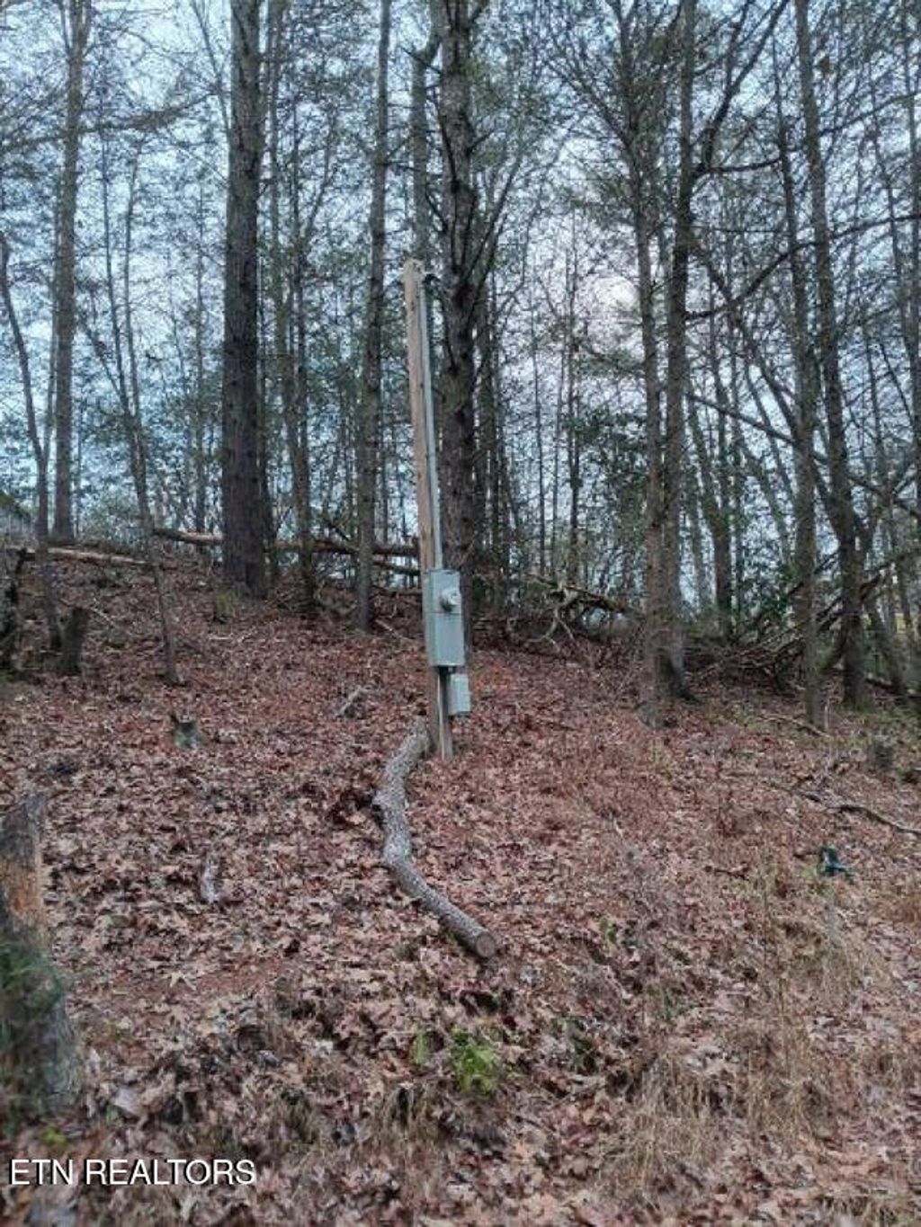 Photo of 332 Roberts Lane, Tellico Plains, TN 37385 (MLS # 1286599)