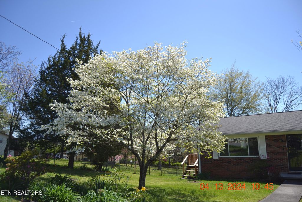 Photo of 145 Highland Drive, Corryton, TN 37721 (MLS # 1259246)