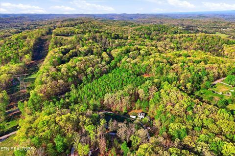 Tiny photo for 354 Ladd Ridge Rd, Kingston, TN 37763 (MLS # 1335473)