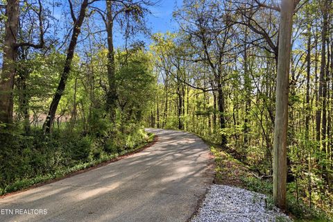 Tiny photo for 354 Ladd Ridge Rd, Kingston, TN 37763 (MLS # 1335473)