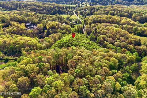 Tiny photo for 354 Ladd Ridge Rd, Kingston, TN 37763 (MLS # 1335473)