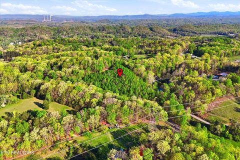 Tiny photo for 354 Ladd Ridge Rd, Kingston, TN 37763 (MLS # 1335473)