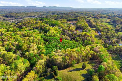 Tiny photo for 354 Ladd Ridge Rd, Kingston, TN 37763 (MLS # 1335473)