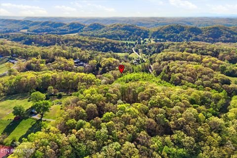 Tiny photo for 354 Ladd Ridge Rd, Kingston, TN 37763 (MLS # 1335473)
