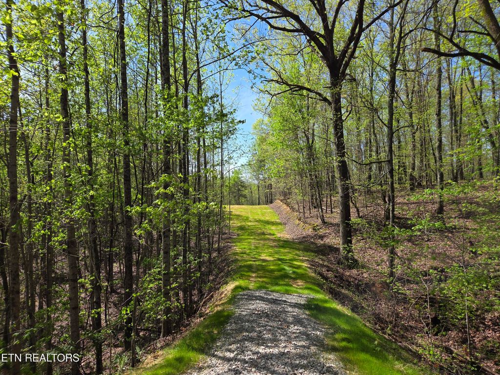 Photo of 354 Ladd Ridge Rd, Kingston, TN 37763 (MLS # 1335473)