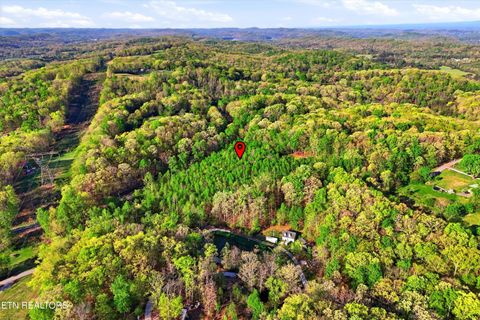 Tiny photo for 354 Ladd Ridge Rd, Kingston, TN 37763 (MLS # 1335473)