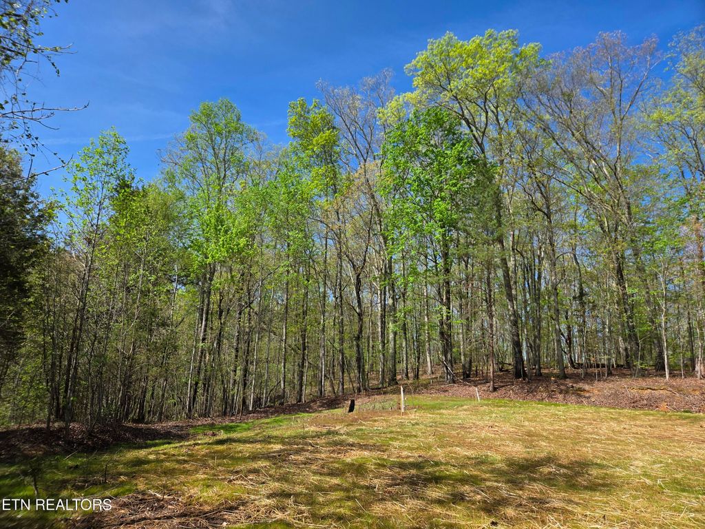 Photo of 354 Ladd Ridge Rd, Kingston, TN 37763 (MLS # 1335473)