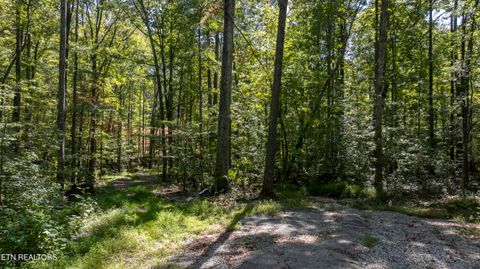 Tiny photo for 286 Clifton Cemetery Rd, Spring City, TN 37381 (MLS # 1315269)