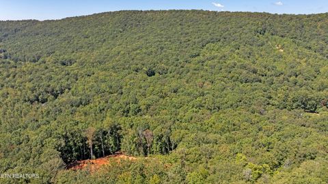 Tiny photo for 286 Clifton Cemetery Rd, Spring City, TN 37381 (MLS # 1315269)