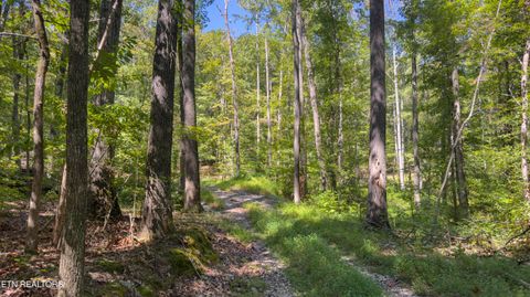 Tiny photo for 286 Clifton Cemetery Rd, Spring City, TN 37381 (MLS # 1315269)