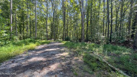 Tiny photo for 286 Clifton Cemetery Rd, Spring City, TN 37381 (MLS # 1315269)