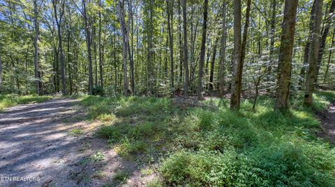 Tiny photo for 286 Clifton Cemetery Rd, Spring City, TN 37381 (MLS # 1315269)
