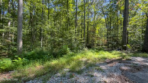 Tiny photo for 286 Clifton Cemetery Rd, Spring City, TN 37381 (MLS # 1315269)