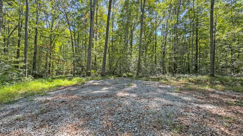 Photo of 286 Clifton Cemetery Rd, Spring City, TN 37381 (MLS # 1315269)