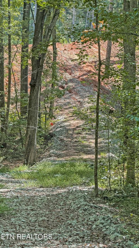 Tiny photo for 286 Clifton Cemetery Rd, Spring City, TN 37381 (MLS # 1315269)