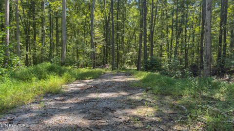 Tiny photo for 286 Clifton Cemetery Rd, Spring City, TN 37381 (MLS # 1315269)