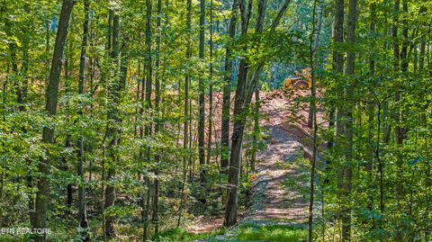 Tiny photo for 286 Clifton Cemetery Rd, Spring City, TN 37381 (MLS # 1315269)