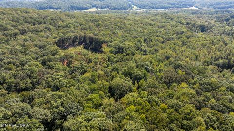 Tiny photo for 286 Clifton Cemetery Rd, Spring City, TN 37381 (MLS # 1315269)