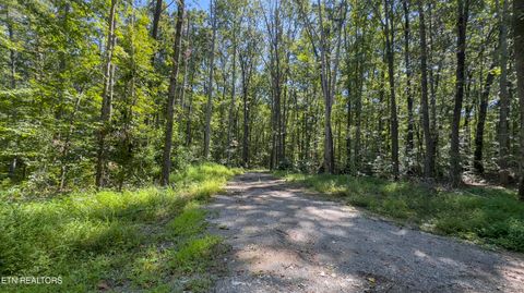 Tiny photo for 286 Clifton Cemetery Rd, Spring City, TN 37381 (MLS # 1315269)