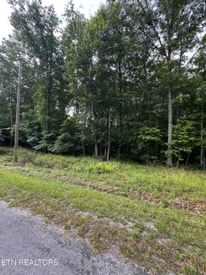 3031 SHAWNEE RD, CROSSVILLE, TN 38572 - Image 9ea21ba396cfc3fb5e00c6035c1aa1e8/4289772865