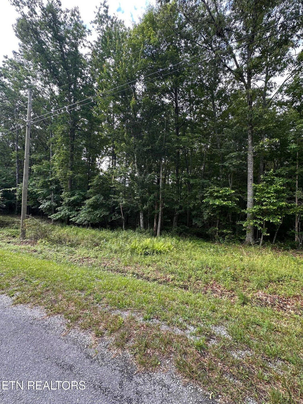 Photo of 3031 Shawnee Rd, Crossville, TN 38572 (MLS # 1343695)