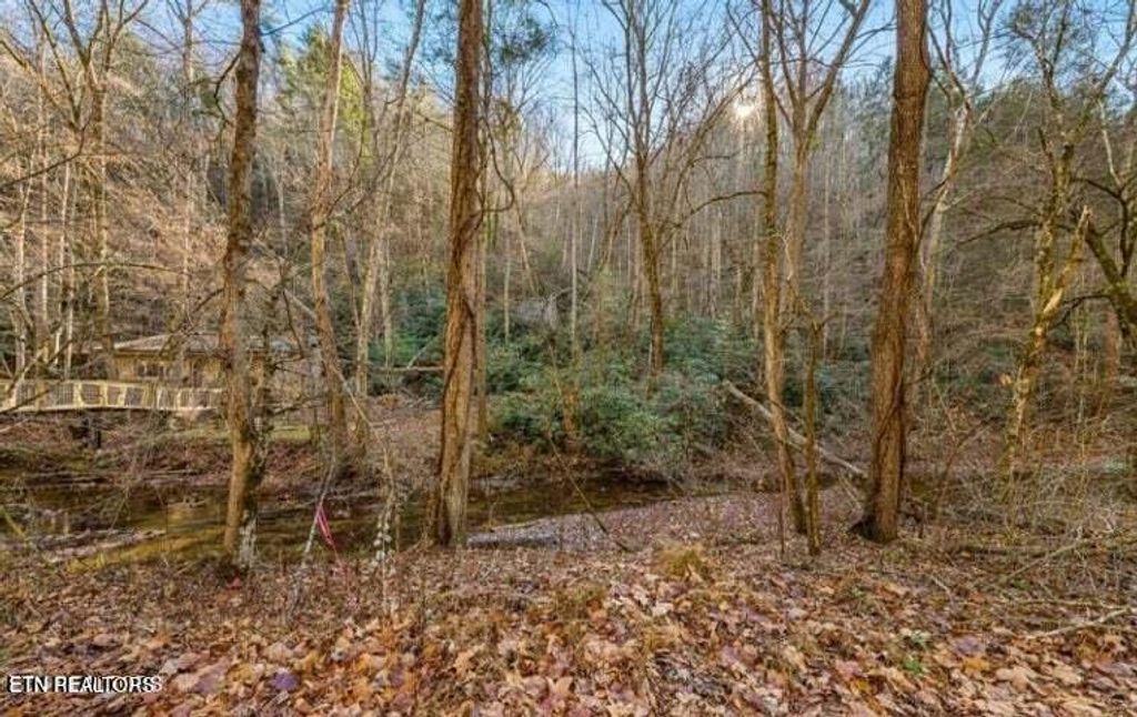 Photo of 18 Cool Creek Rd, Sevierville, TN 37876 (MLS # 1311159)