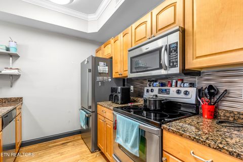 Tiny photo for 1235 New Lake Rd #UNIT 5, Spring City, TN 37381 (MLS # 1332394)