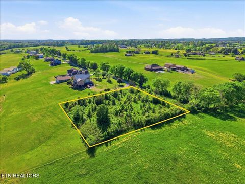 Photo of 1745 Seymour Air Park Drive, Seymour, TN 37865 (MLS # 1337159)