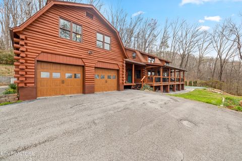 105 Wildwood Tr Andersonville TN 37705