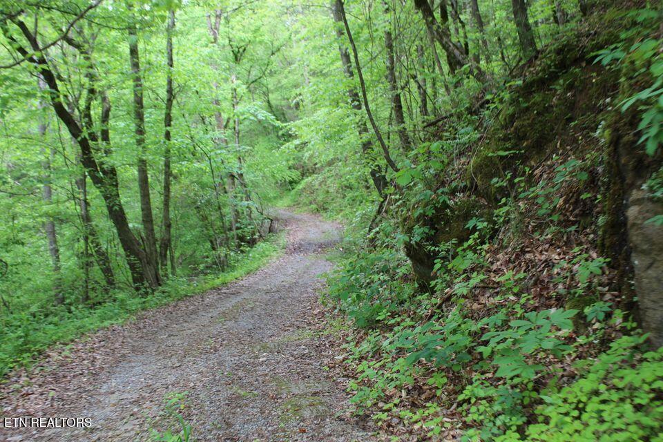 Leatherwood Rd
