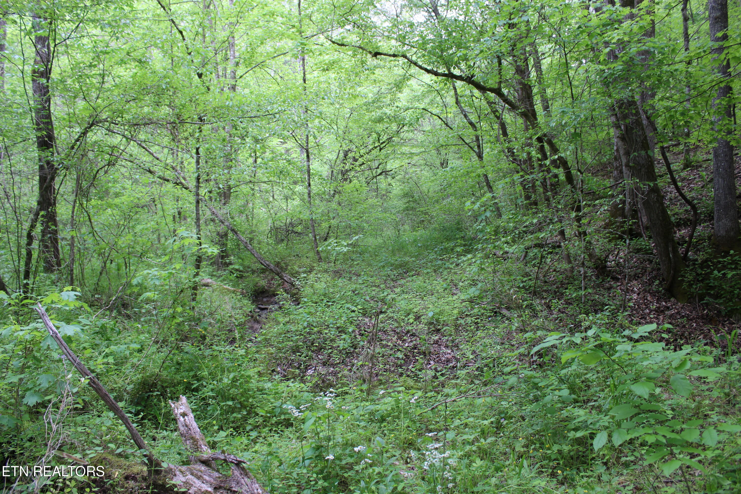 Leatherwood Rd