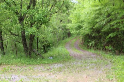 Leatherwood Rd Sevierville TN 37876