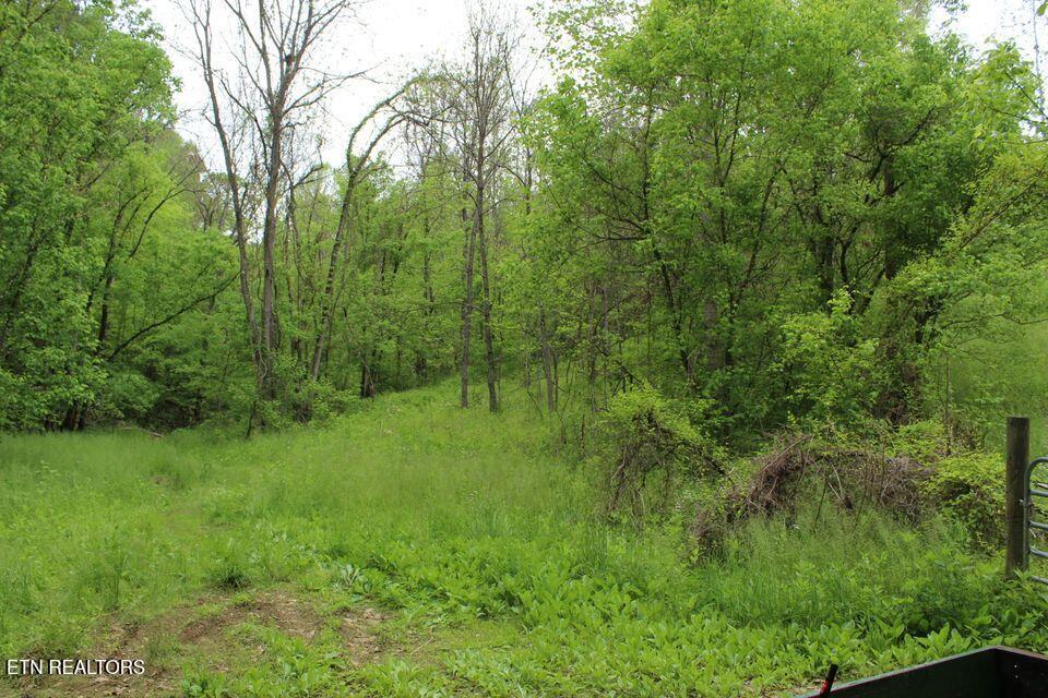 Leatherwood Rd