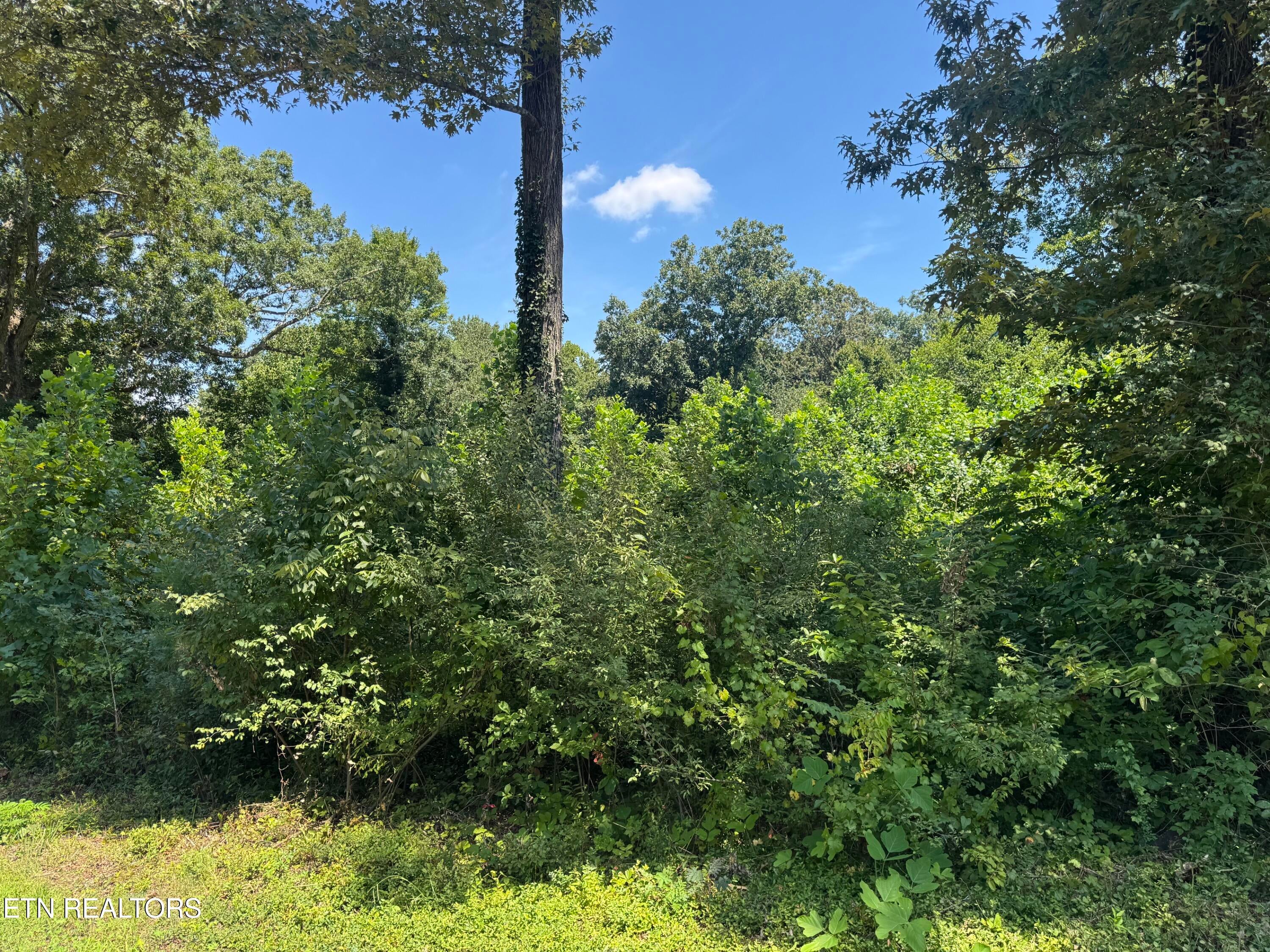 0 Brookhill Drive