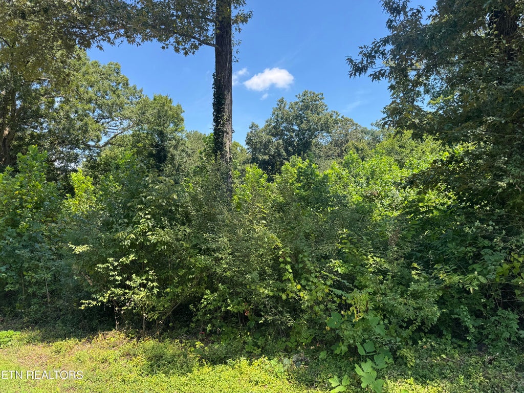 Photo of 0 Brookhill Drive, Etowah, TN 37331 (MLS # 1352516)