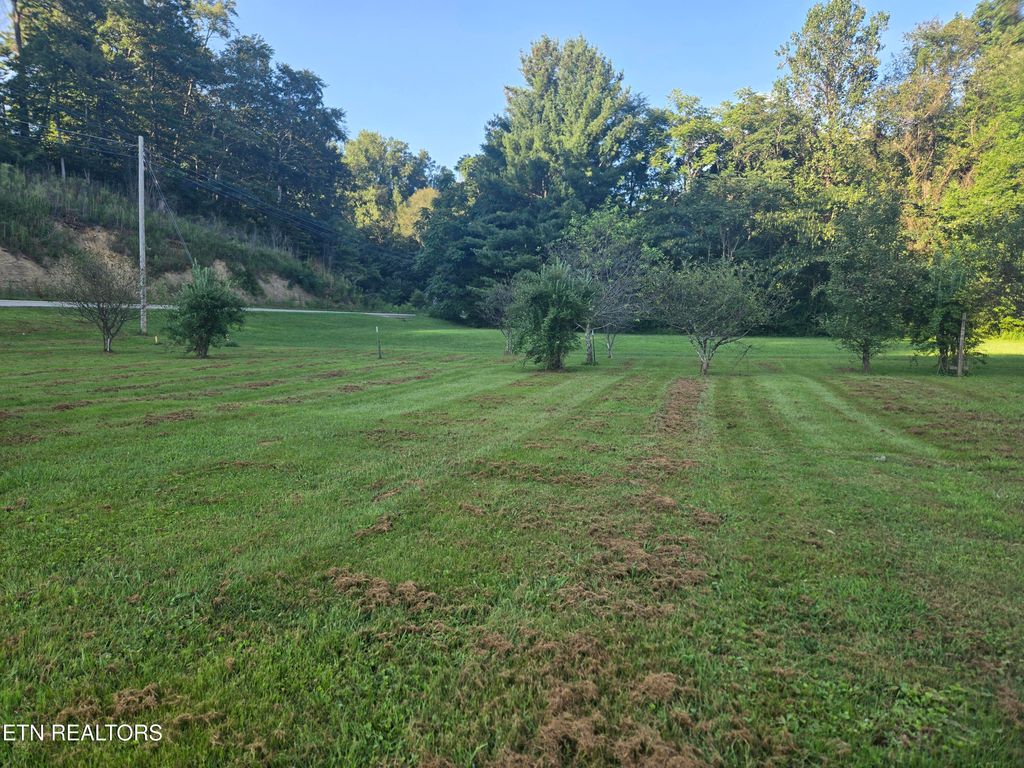 Photo of 9533 Petros Hwy, Oliver Springs, TN 37840 (MLS # 1313700)