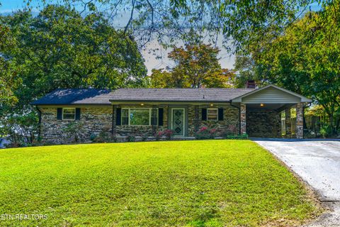 Photo of 219 Woodland Drive, Kingston, TN 37763 (MLS # 1317786)
