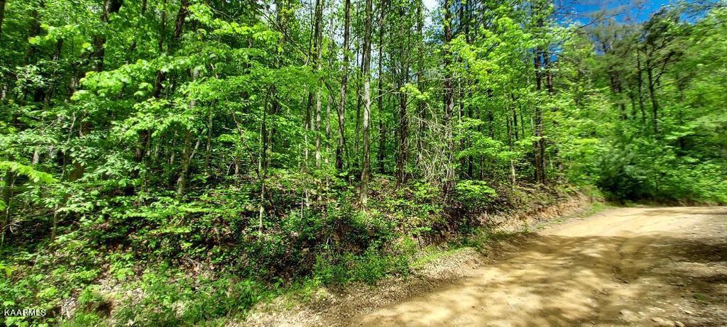 Photo of 348 William Newport Rd, Huntsville, TN 37756 (MLS # 1226262)