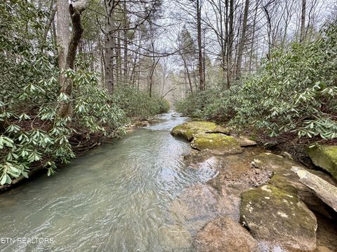 Wolf Creek Rd Robbins TN 37852
