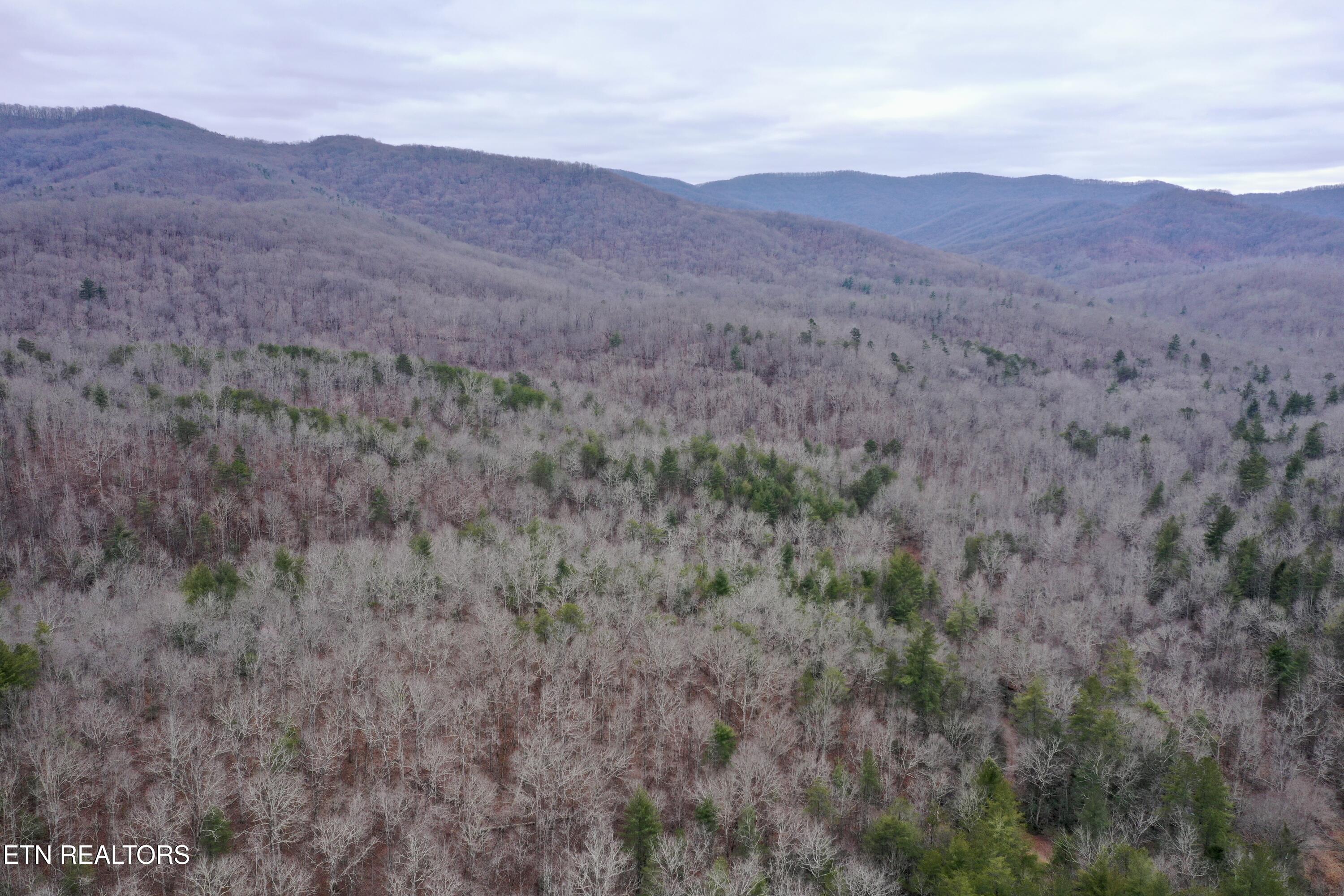 Wolf Creek Rd