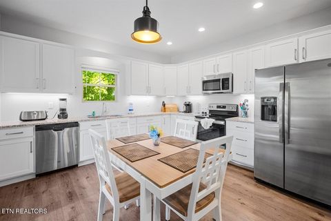 Tiny photo for 1103 Sanctuary Shores Way, Sevierville, TN 37876 (MLS # 1332093)