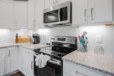 Tiny photo for 1103 Sanctuary Shores Way, Sevierville, TN 37876 (MLS # 1332093)