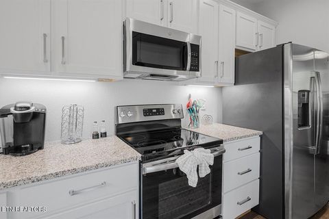 Tiny photo for 1103 Sanctuary Shores Way, Sevierville, TN 37876 (MLS # 1332093)