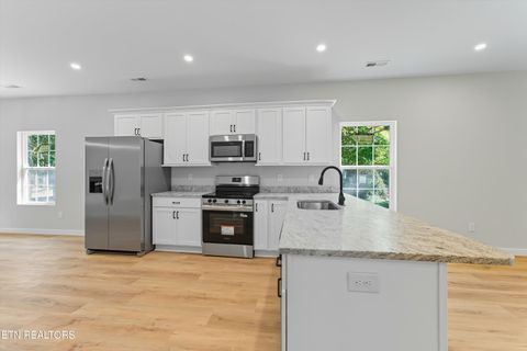 Tiny photo for 218 Morris St, Harriman, TN 37748 (MLS # 1317456)