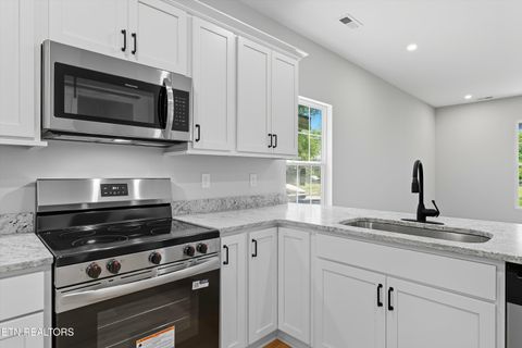 Tiny photo for 218 Morris St, Harriman, TN 37748 (MLS # 1317456)