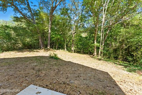 Tiny photo for 218 Morris St, Harriman, TN 37748 (MLS # 1317456)